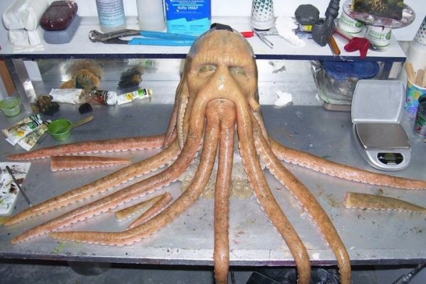 Kraken гидра